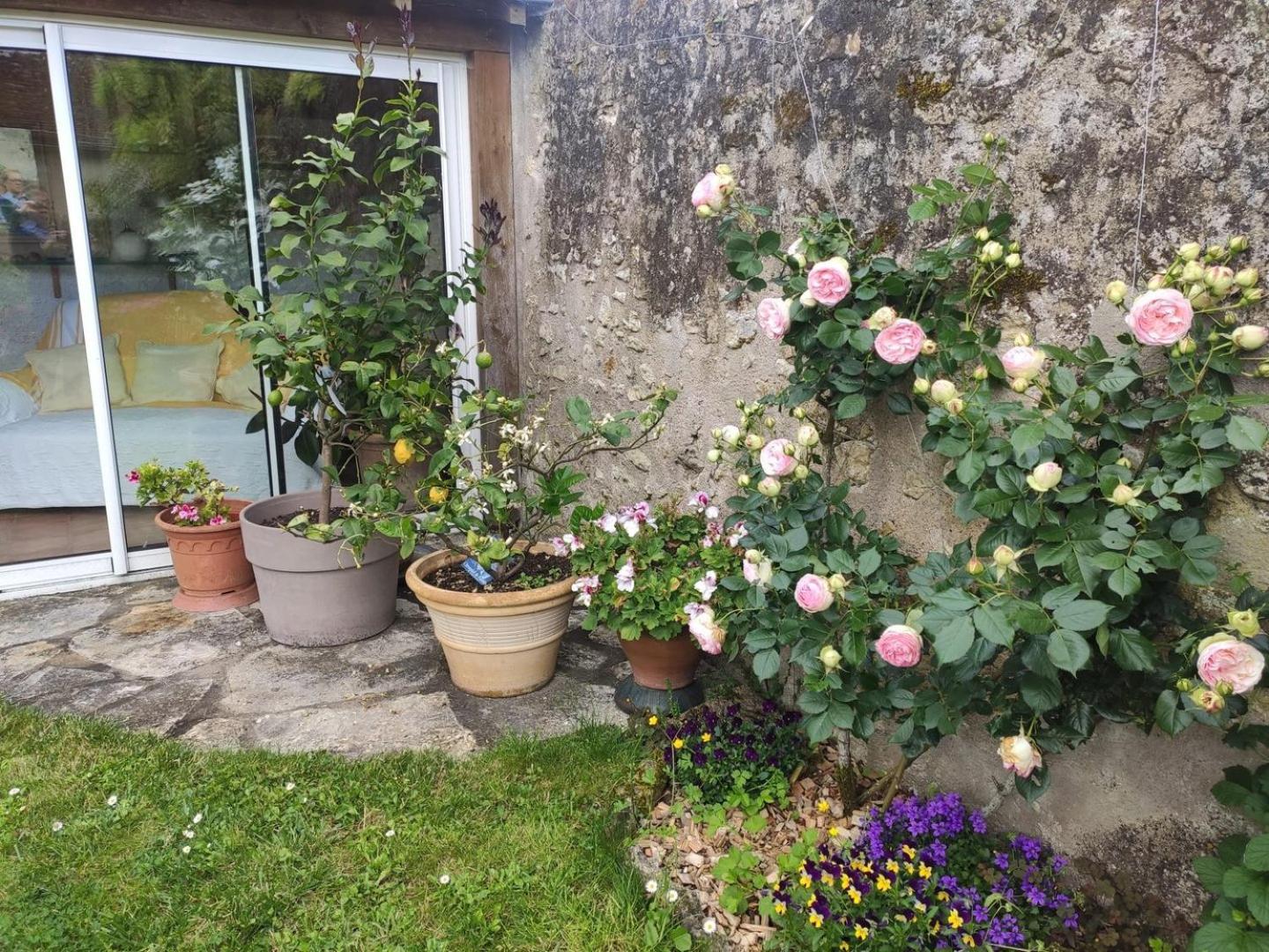 Le Relais De L'Ormeau - Charmant Gite Pour 4 Pers. Lussault-sur-Loire Bagian luar foto
